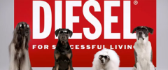 Thumbnail image for Surprising Summer video by Diesel
