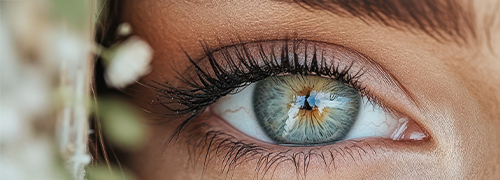 Post image for Ontwikkelingen op het gebied van Oculomics gaan snel….